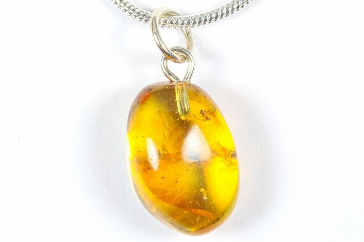 Polished Baltic Amber Pendant (Necklace) with Beetle and Fly! #369024